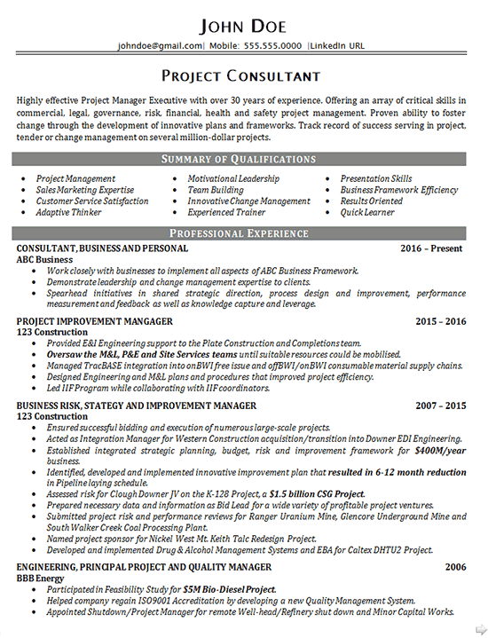 executive project consultant resume example