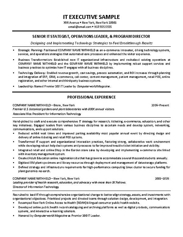 Executive Director Resume Template Word