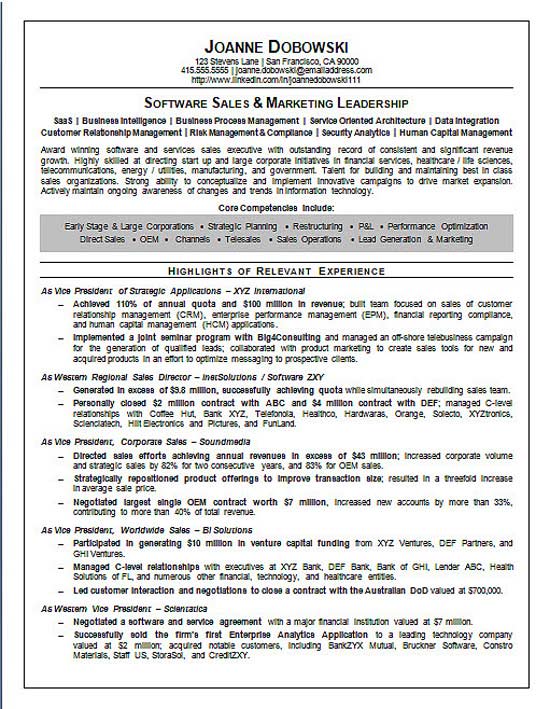 Software Sales Executive Resume Example