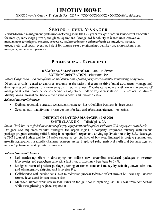 Sales Manager Resume Example 