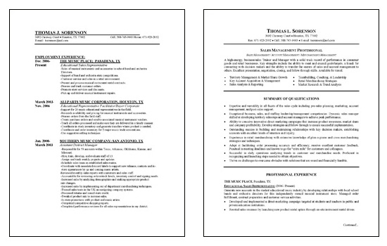 Sales Management Resume Example