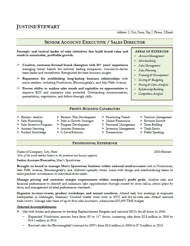 senior account executive sales resume