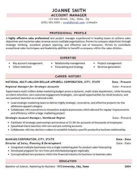 Professional Sales Resume Example