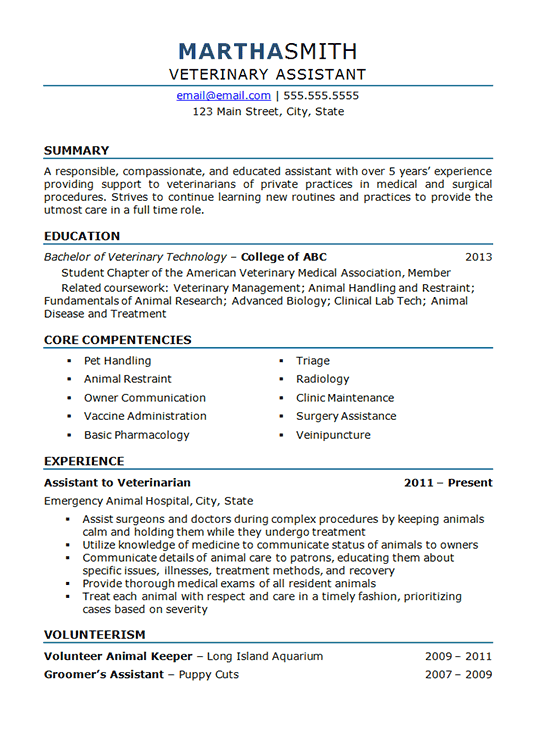 objective statement resume vet