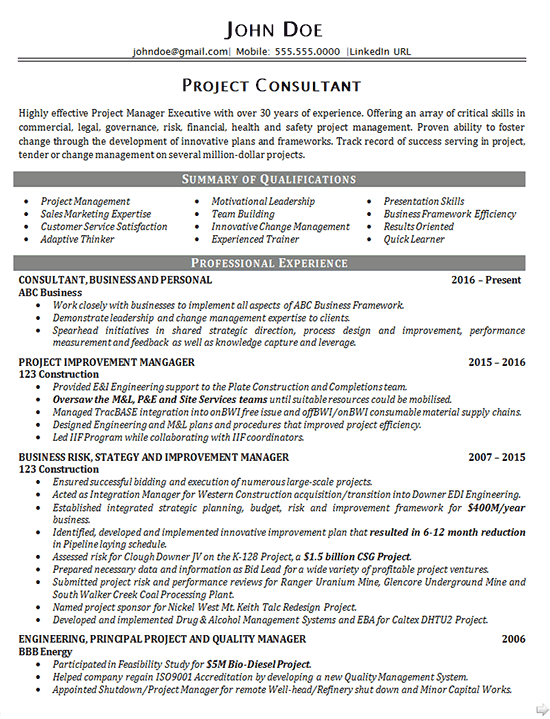 Executive Project Consultant Resume Example Business Manager