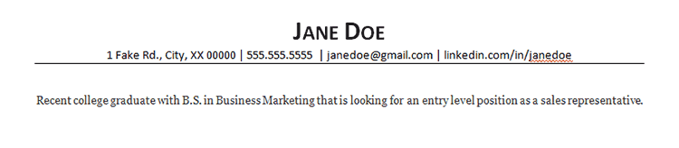 resume objective example for sales