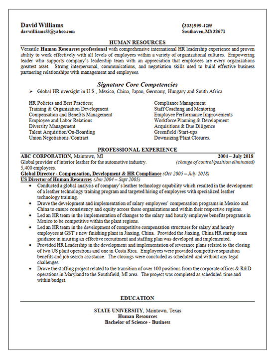 Global Human Resources Director Resume Example