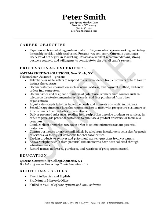resume example exsa21