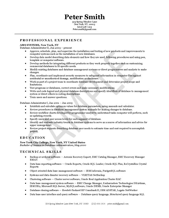Database Administrator Resume Example