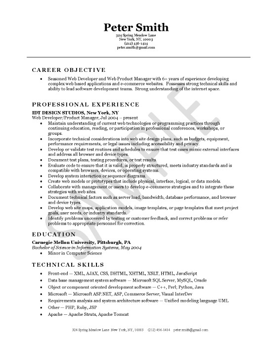 resume example extec26