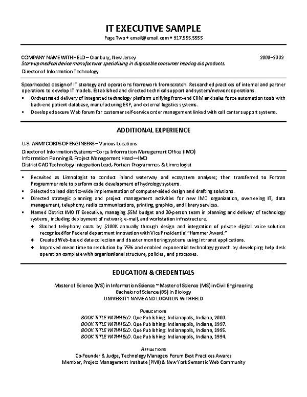 Technical IT Director Resume Example