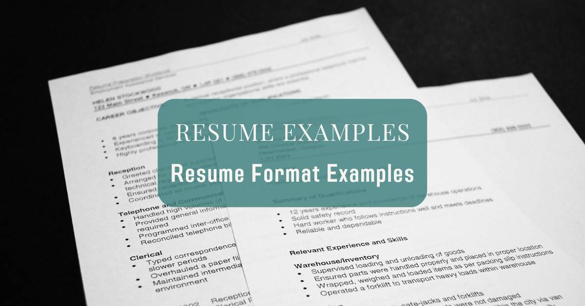 resume examples format examples