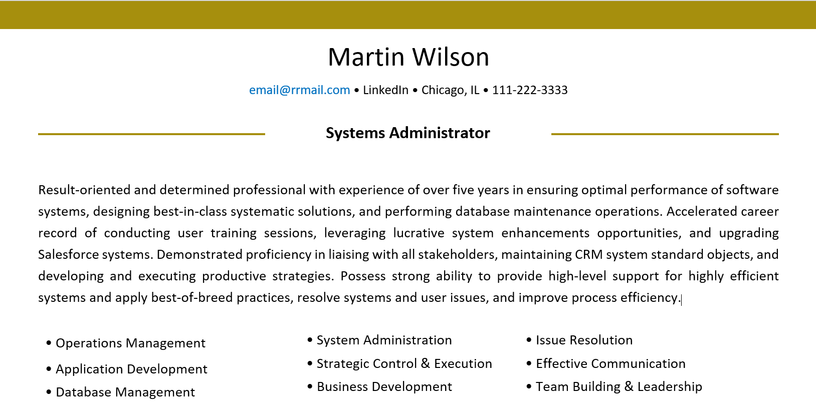 resume introduction summary paragraph