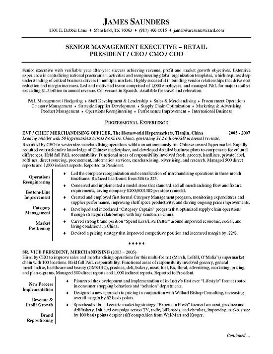 resume sample executive12a 1