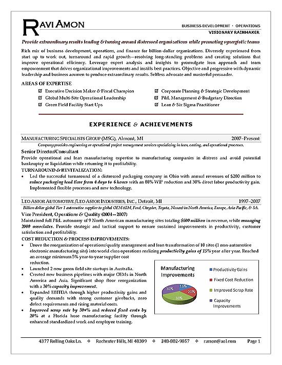 Business Operations Executive Resume Example
