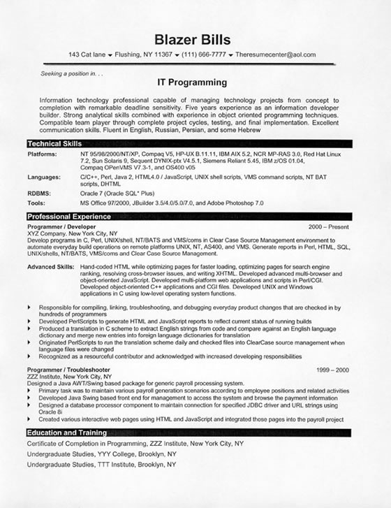 resume sample it programmer8.html