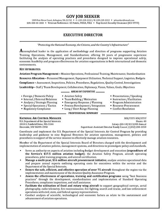 Government Resume Example